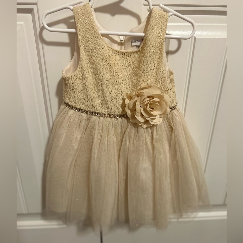 Sweet Heart Rose Little Girl Glittery Gold Dress 2T